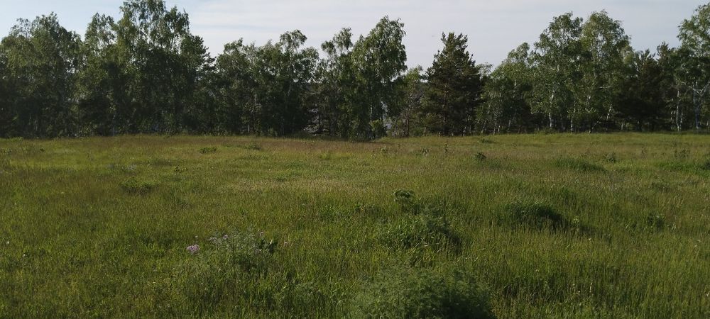 Земельный участок