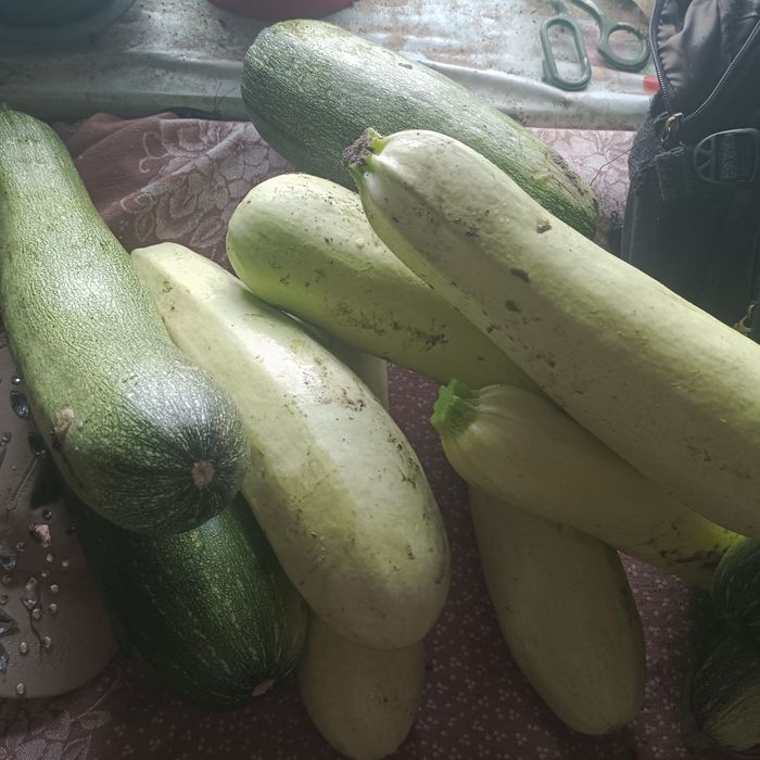 Продам КАБОЧКИ .