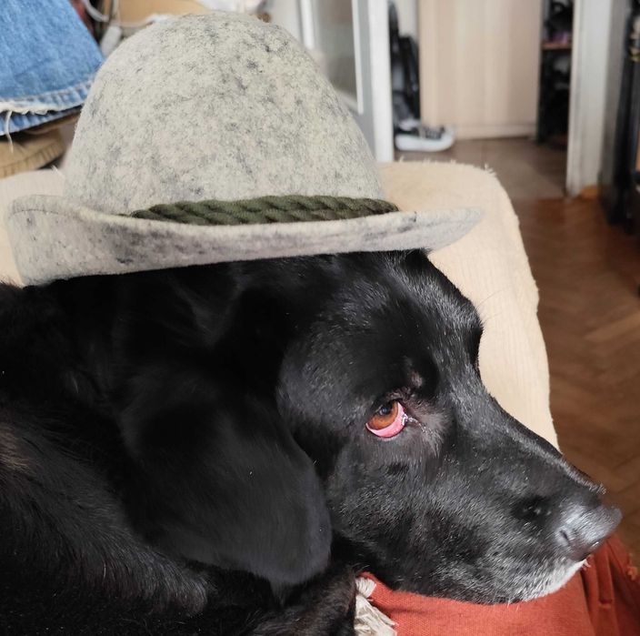 Филцова Тиролска Баварска  шапка от Октоберфест