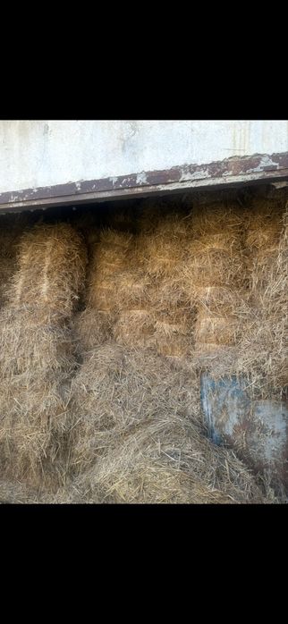 Сомон прес срочно сотилади арзон