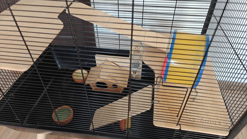 Vand cusca Zolux Neo + accesorii