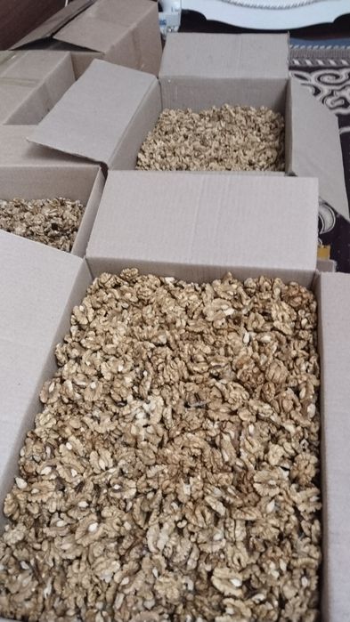 Орех грецкий жангак