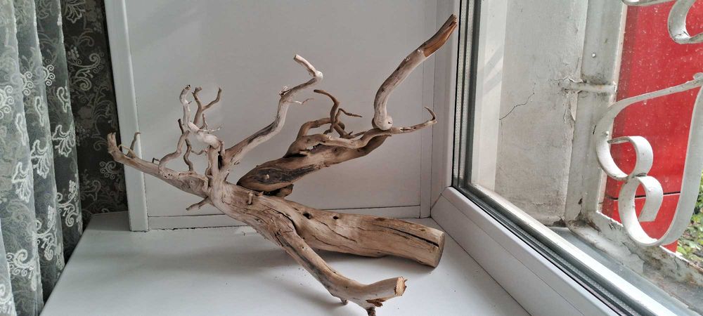 Коряги для аквариума