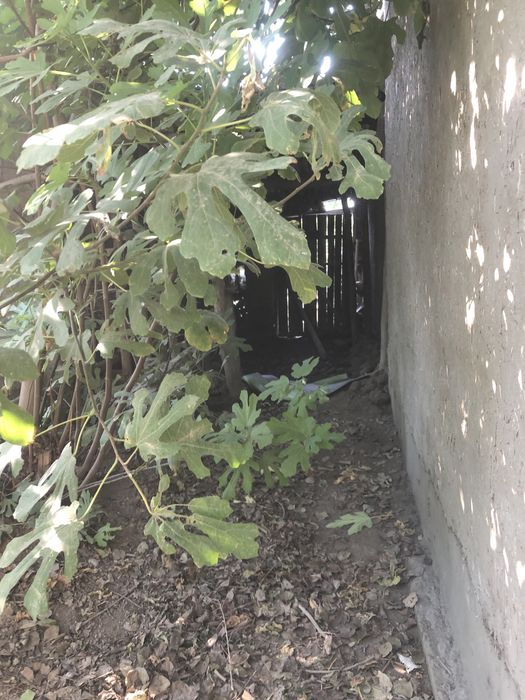 ARZON NARH Hovli joy quruq yer bahosida