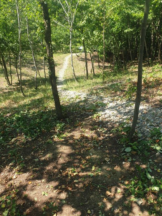 Vand teren la deal 3140 mp