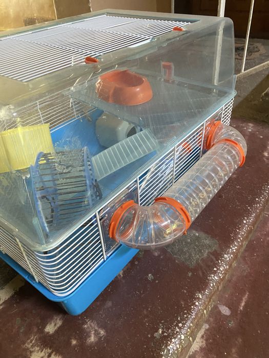 Cușcă hamster pitici