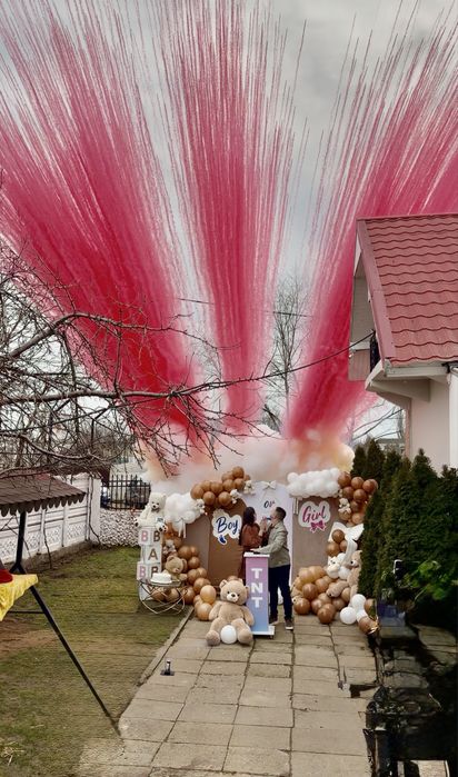 Gender Reveal /Photocorner / decor camera / decor baloane
