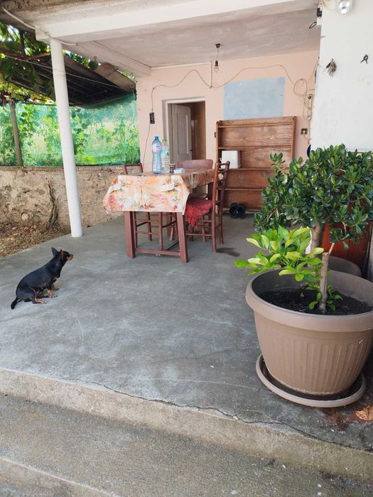 Продава се Къща в с. Свирково, Област Хасково - 1200 кв.м за 23 €/кв.м - Снимка #15