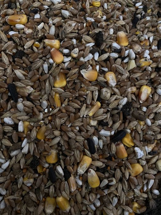 Кормовая смесь корм для птиц