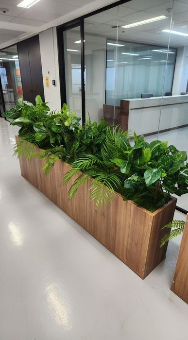 кашпо суний гуллар декор хизмати