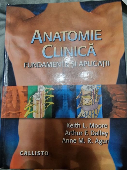 Anatomie clinica