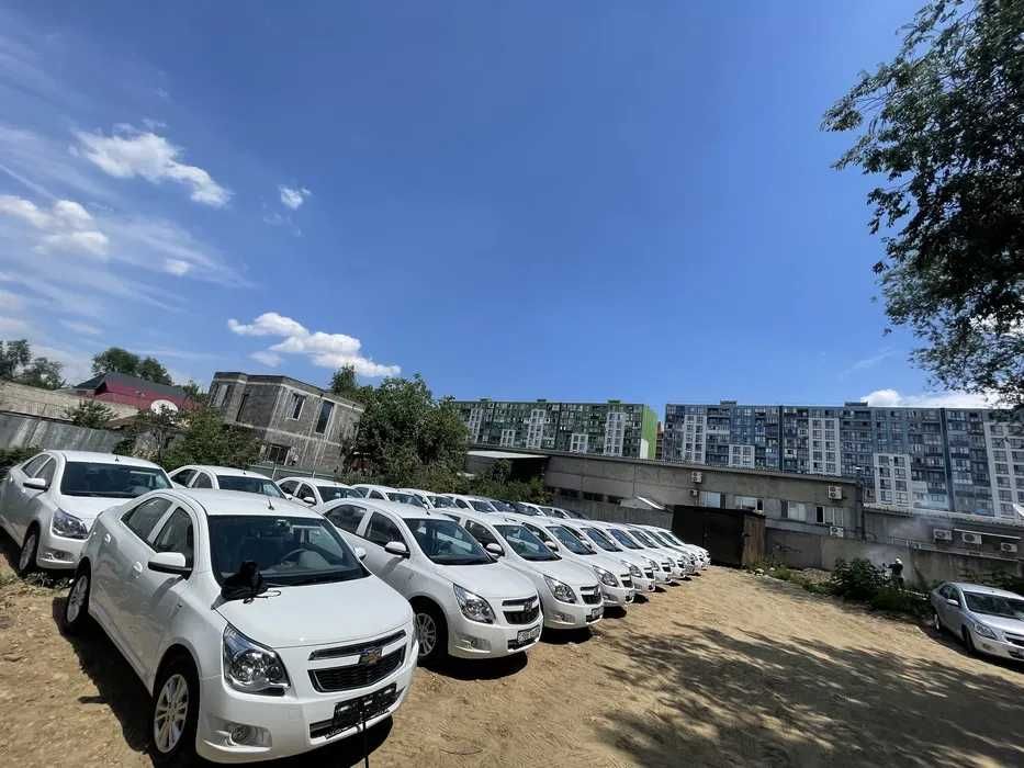 Аренда авто Яндекс такси