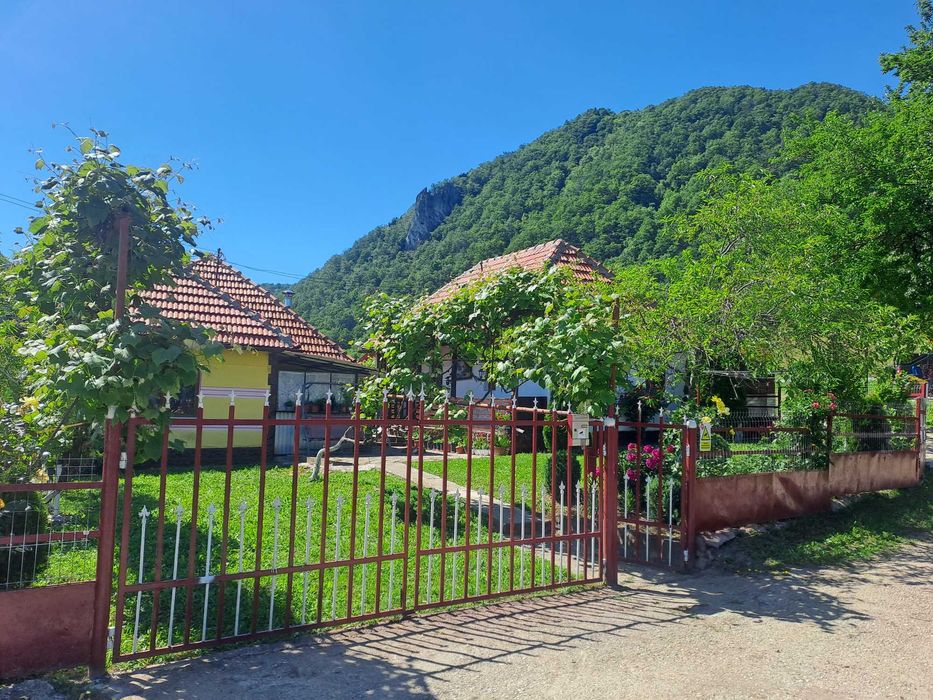 Vind casa ,anexe 0726083166