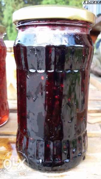 Домашни Сладка от Горски Плодове