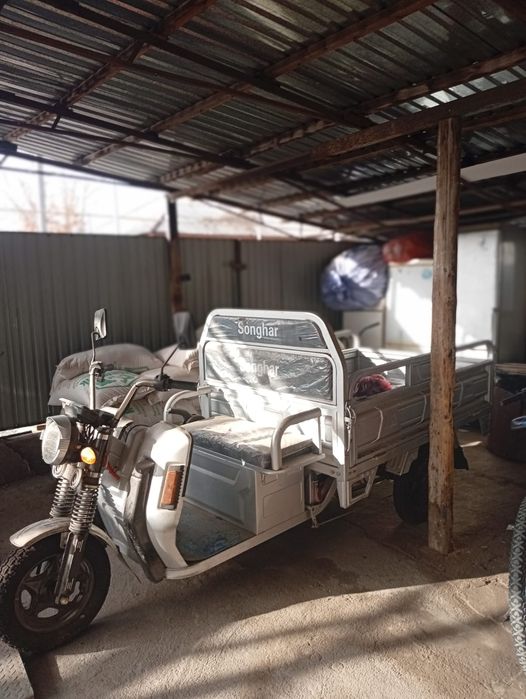 продаётся муравейник