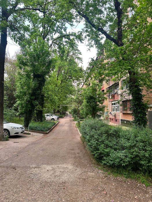 Чилонзор 26 квартал 3 хона гиштли уй  балкон 2х6