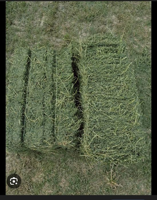 Beda pres bor sotiladigan