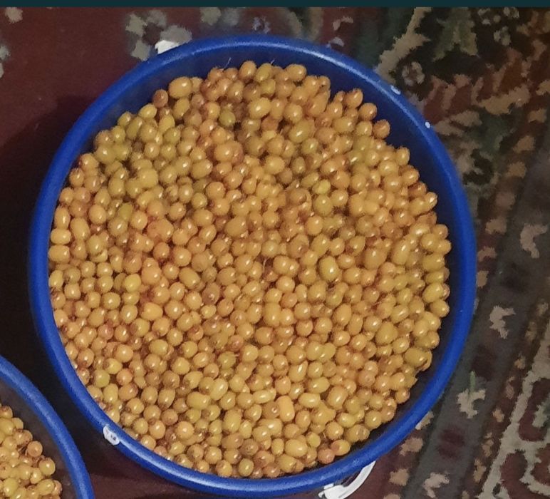 5 литр 6000 облепиха ягоды жидектер