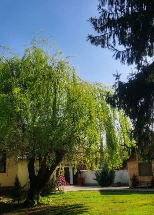 Vilă de vânzare central