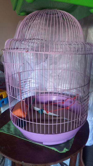 Клетка  для  птиц
