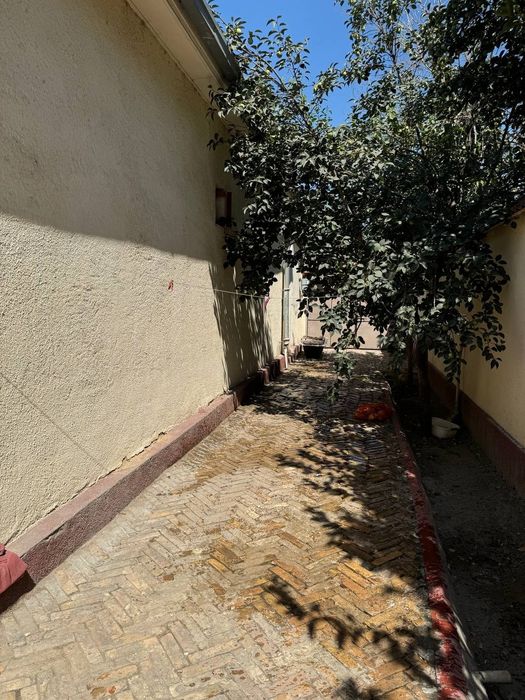 Участок сотилади 5 соток . Сутиги 30 мингдан