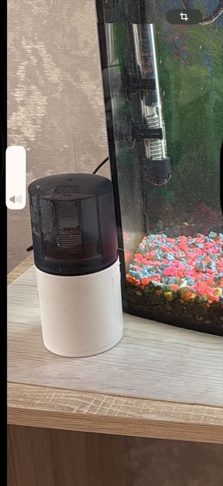 Аквариум домашний