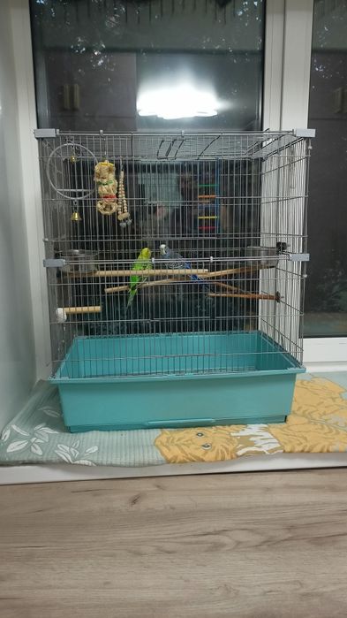 Продам Попугаев с клеткой