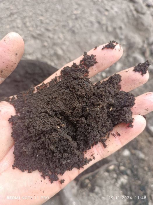 Биогомус Оптом нархда Сотамиз