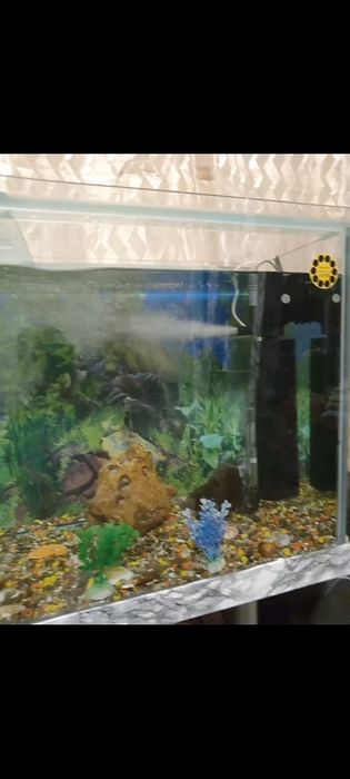 Продам аквариум на 350 л