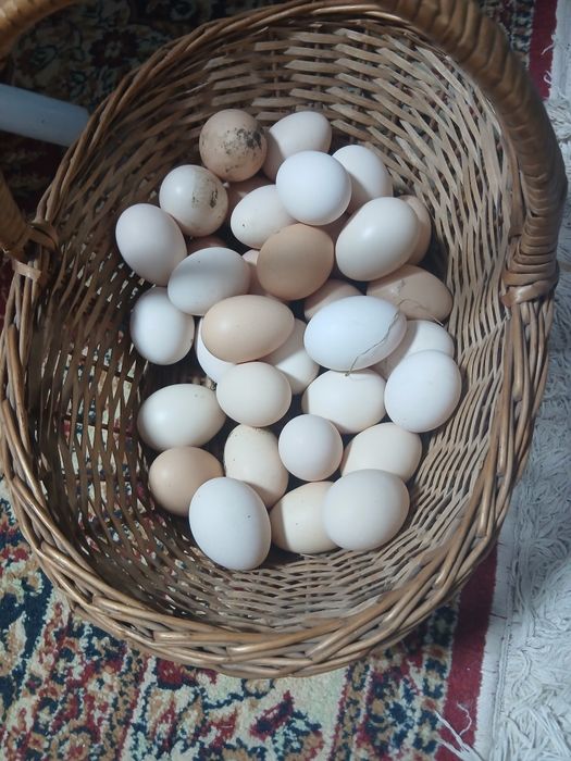 Oua proaspete de țară