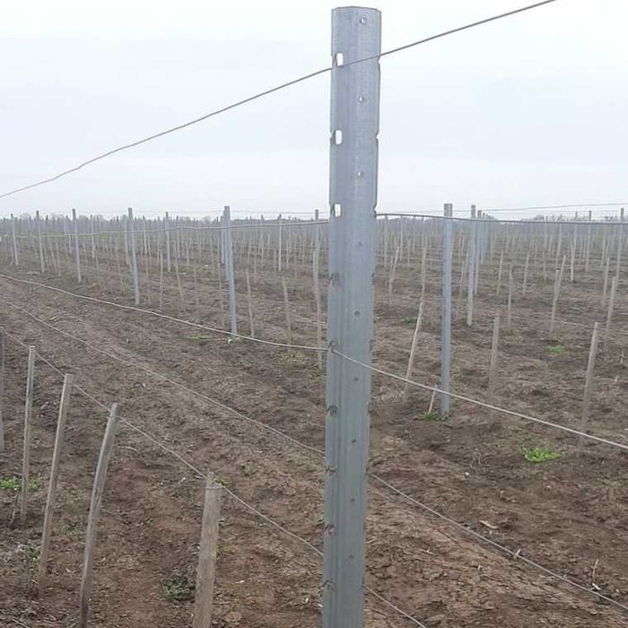 Поцинковани лозови колове 2.4 м / 1.5 мм