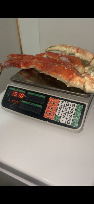 Краб камчатский L4