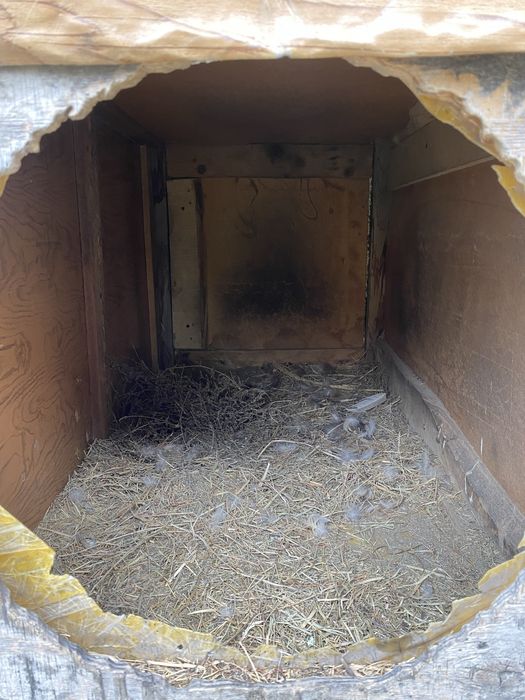 Будка для собаки (термо)