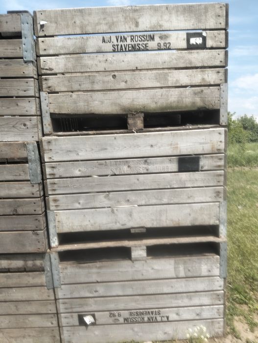 Baxuri de lemnului