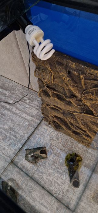 Продам террариум