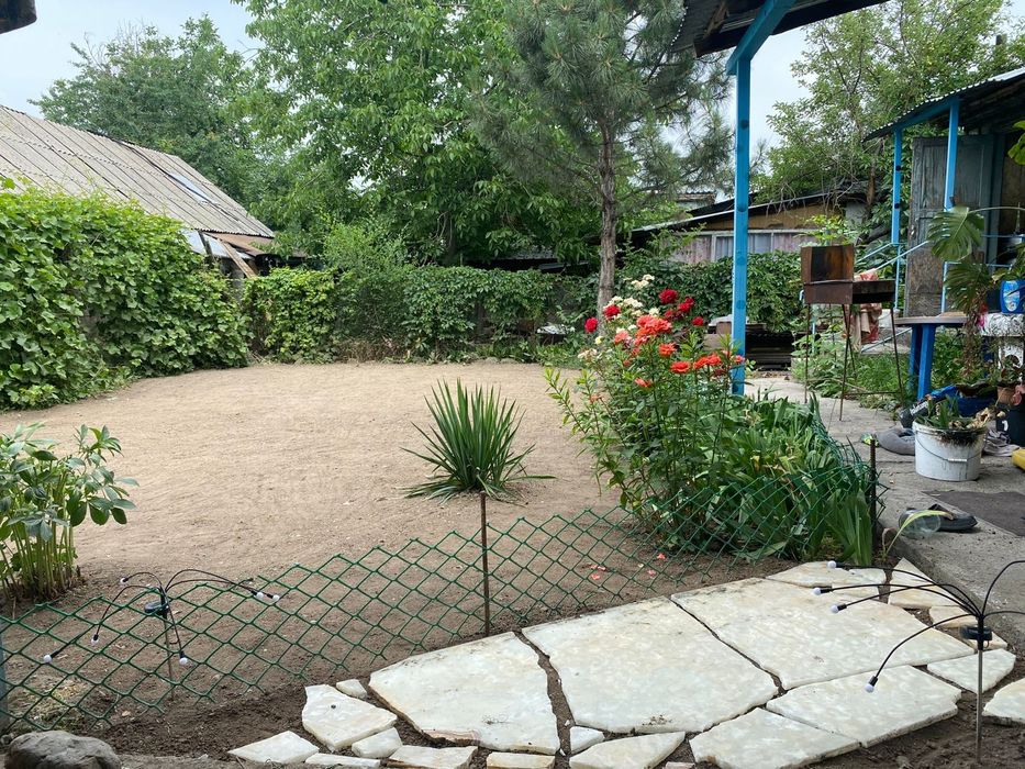 Озелини свой двор