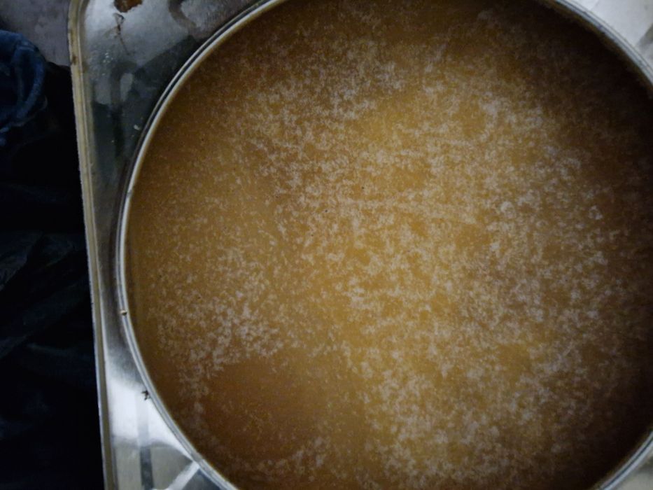 Пчелен билков мед 2025г  за  Шумен безплатна доставка