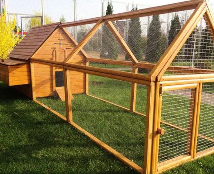 Qafaslar Xuroz va kanareykalar uchun