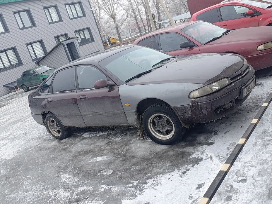 Хорошая лошадка теплая