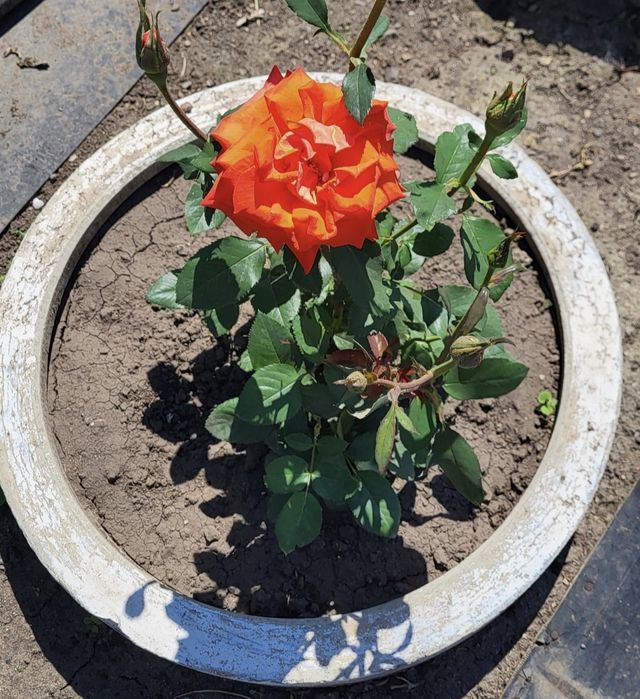 Продаётся дача 6 соток