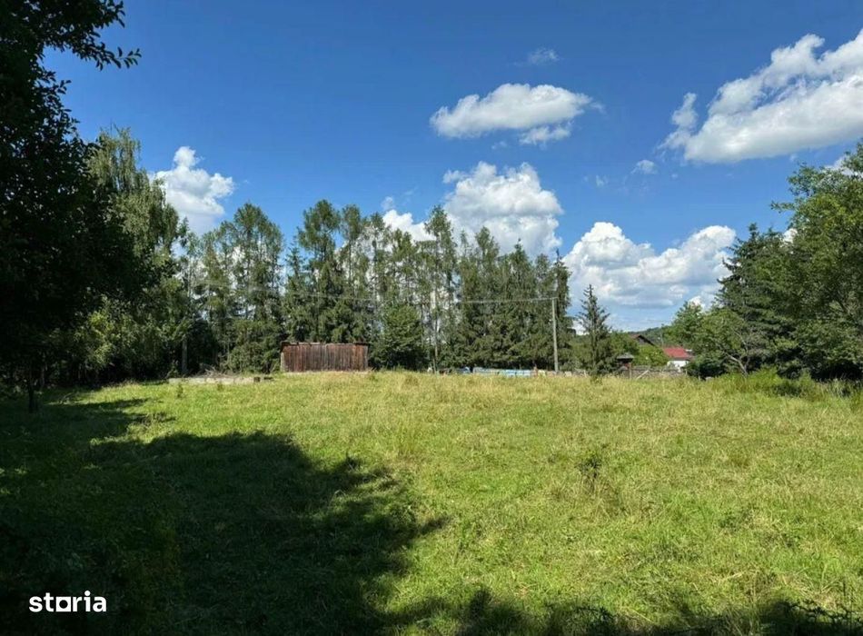 Teren intravilan 5.755 mp | Zona Muzeul Satului Maramuresean, Sighetu