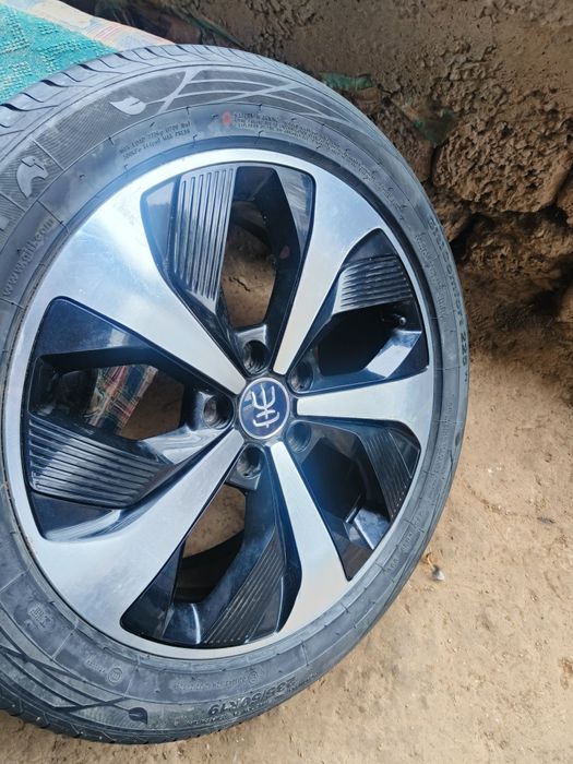 Byd song pulus diska baloni diska balon zapaska qliwga