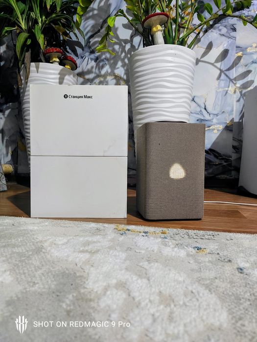 Алиса Макс в идеальном состояние!