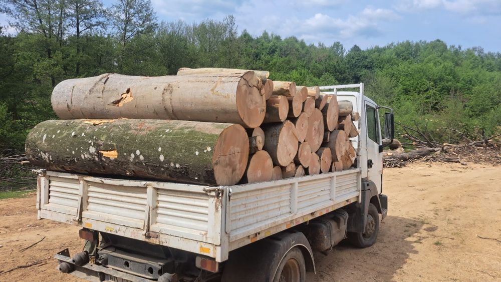 Lemn de foc la domiciliu