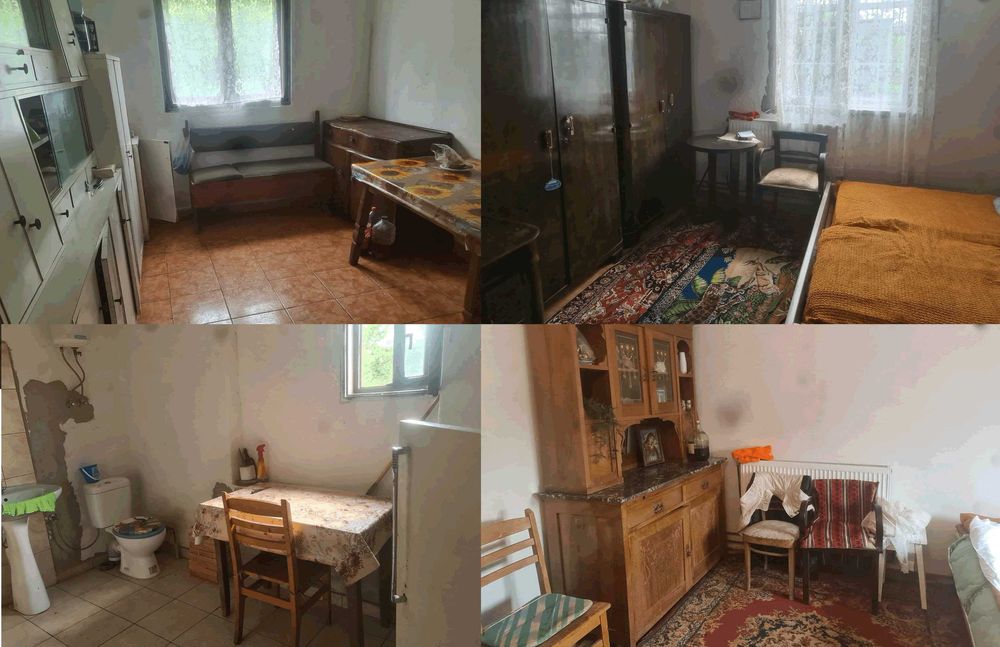 Vand Ferma Casa Teren Livada Zadareni Arad intravilan cu numar de casa