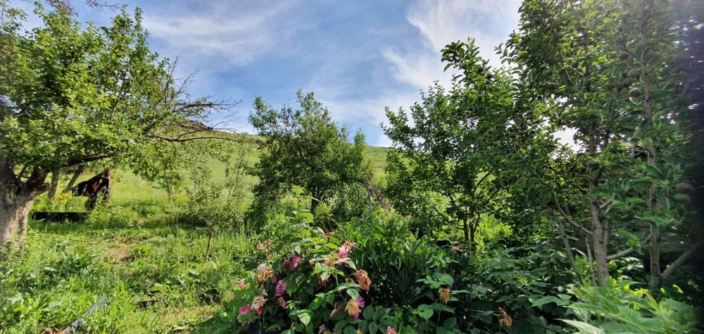 Срочно продам дом!