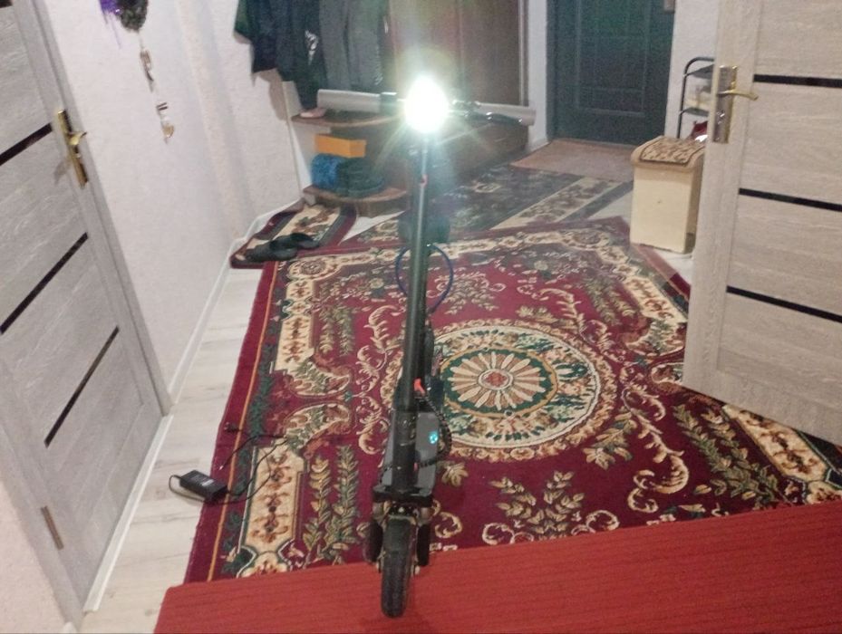 Samakat kop xaydalmagan xolati yangi