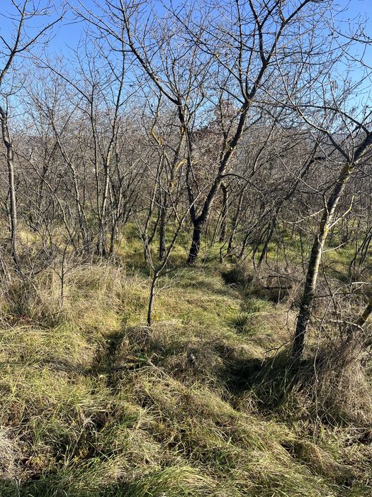 Продава се Парцел в Варна, Базар Левски - 1763 кв.м за 60 €/кв.м - Снимка #6