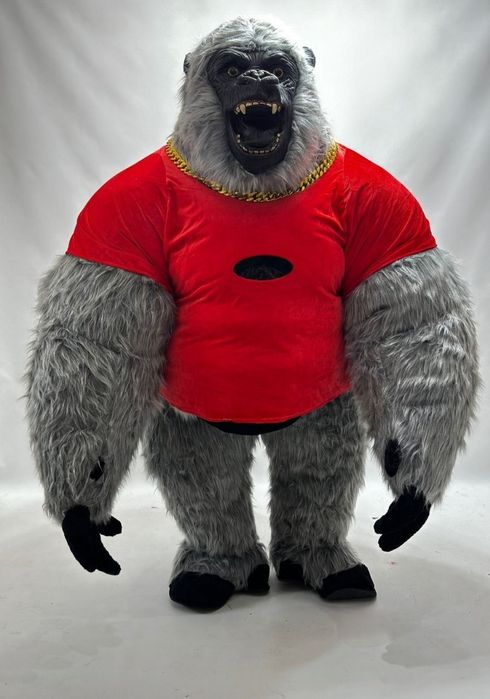 Айиклар сотилади  биринчи кол