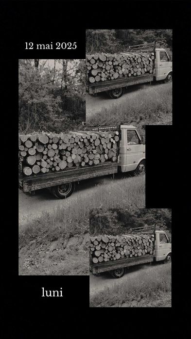 Lemn de foc esenta tare